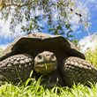Adventure World | Insider Galápagos