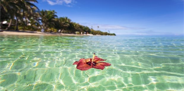 Fiji on Sale - Business Class - Fiji Airways - From Auckland