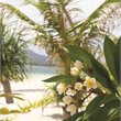 FaBULAous Fiji Sale - Fiji Airways -  Business Class - From Auckland