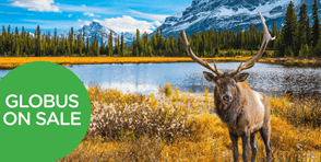 GLOBUS SALE AUG 2026