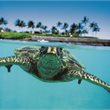 Hawaii - Islands on Sale - Business Premier™ Sale - Air New Zealand