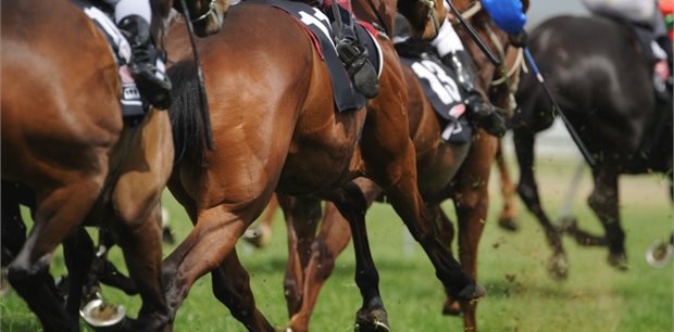 ATC Rosehill Gardens Racecourse - Golden Eagle Day ATC Rosehill Gardens Racecourse - Golden Eagle Day