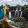 Adventure World | Latin Rendezvous