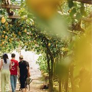 Intrepid | Rome to Amalfi