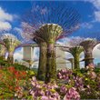 Singapore on Sale - Business Class - Singapore Airlines