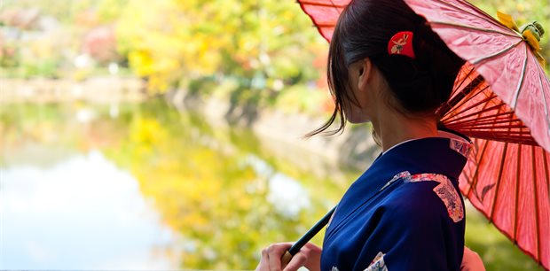 Intrepid | 18 to 35s Essential Japan