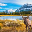 Globus | Majestic Rockies with Rocky Mountaineer