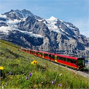 Save up to $5,400 per couple!