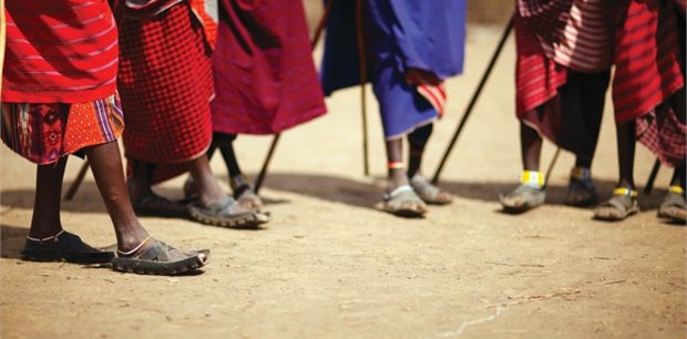 Cosmos - Africa Tours