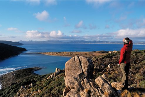 Otago Peninsula, Catlins & Stewart Island - helloworld Travel Rotorua