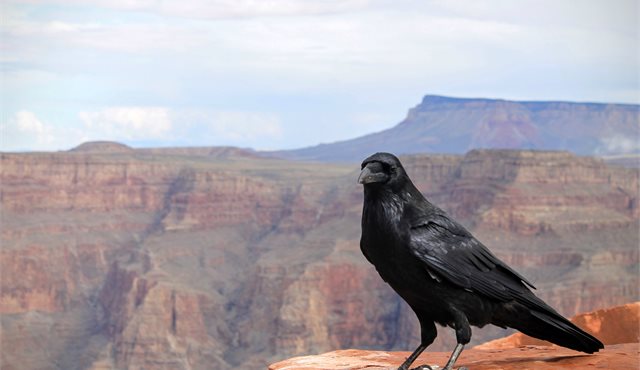 Blog: Grand Canyon – a Natural Wonder of the World
