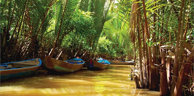 Avalon - Asia Tours