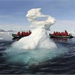 Emblematic Antarctica