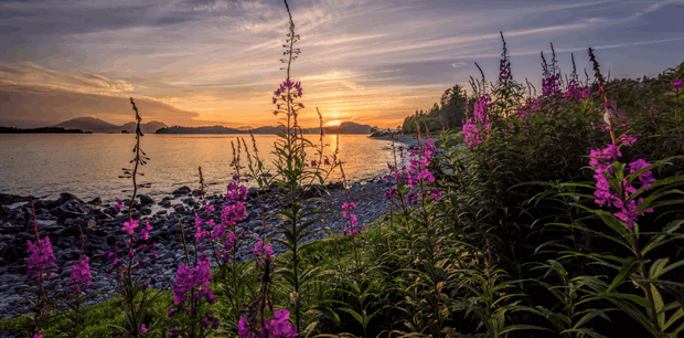 Fly & Cruise the Alaskan Horizons