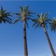 Los Angeles on Sale - Fiji Airways - from Auckland