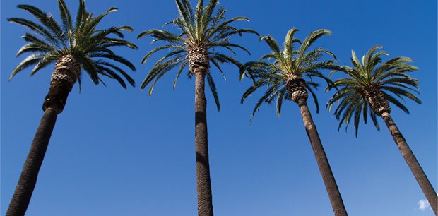 Global Sale - Los Angeles with Fiji Airways - from Auckland
