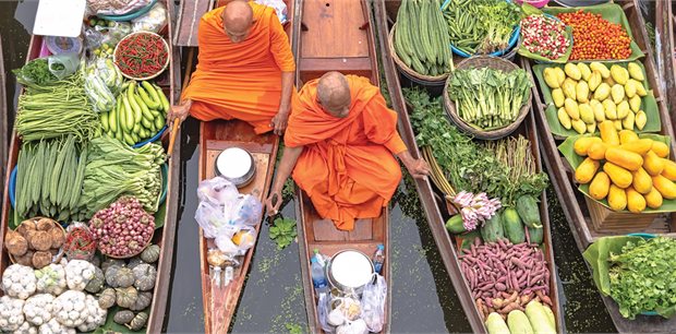 Cosmos | Tantalizing Thailand 2026