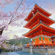 Intrepid | Highlights of Japan