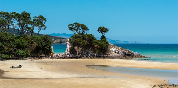 Great Barrier Island Escorted Tour