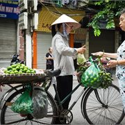 Intrepid | Scenic Vietnam Intrepid | Scenic Vietnam