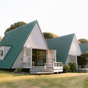Great Barrier Island Escorted Tour