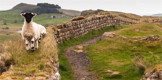 Trafalgar Tours | Real Britain