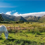 BLACK FRIDAY: UP TO 15% OFF & EXCLUSIVE HELLOWORLD SAVINGS OF $100 PER COUPLE!*