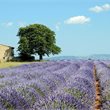 Insight Vacations | Country Roads of France