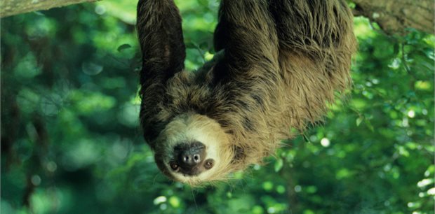 South America Holidays