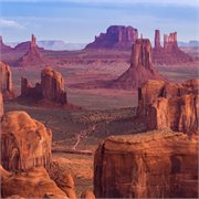 Cosmos - North America