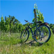 Avalon Waterways | Bonjour Bordeaux
