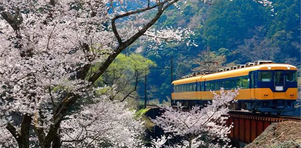Intrepid | Highlights of Japan