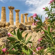 SAVE! up to 15% per person SAVE! up to 15% per person