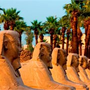 Trafalgar Tours | Best of Egypt