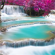 COSMOS | Highlights of Southeast Asia COSMOS | Highlights of Southeast Asia