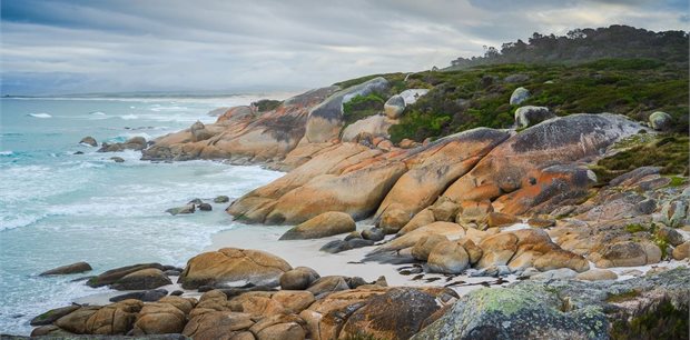 AAT Kings | Tasmania & Flinders Island