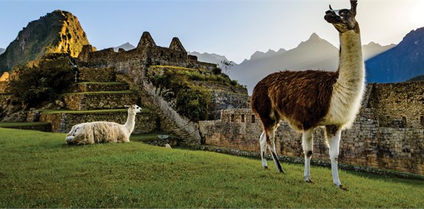 Cosmos | Ultimate South America