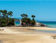 Great Barrier Island Escorted Tour