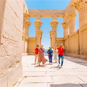 Intrepid | Premium Egypt