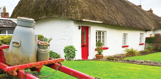 Cosmos | Irish Discovery