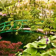 Save up to 15% + $50 off per person