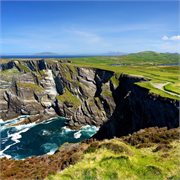 Cosmos - UK & Europe