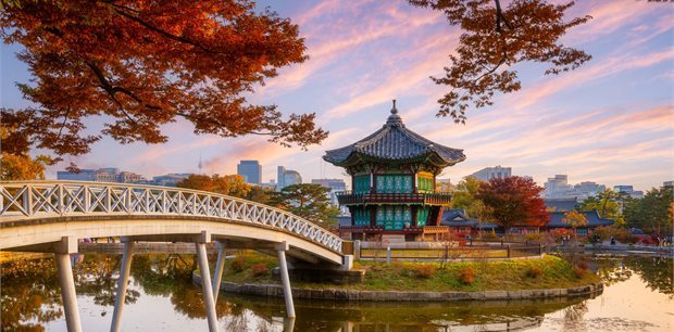 Trafalgar Tours | Best of South Korea