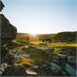 Trafalgar Tours | Best of Devon and Cornwall