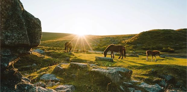 Trafalgar Tours | Best of Devon and Cornwall Trafalgar Tours | Best of Devon and Cornwall