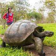 Globus - South America