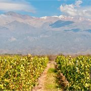SAVE $2746* SAVE $2746*