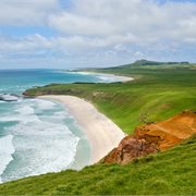 Chatham Islands Escorted Journey with Carolyn Hedley
