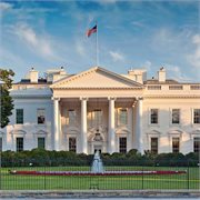 Cosmos - North America Cosmos - North America