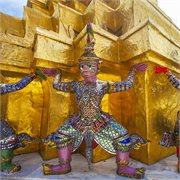 Cosmos | Tantalizing Thailand 2026